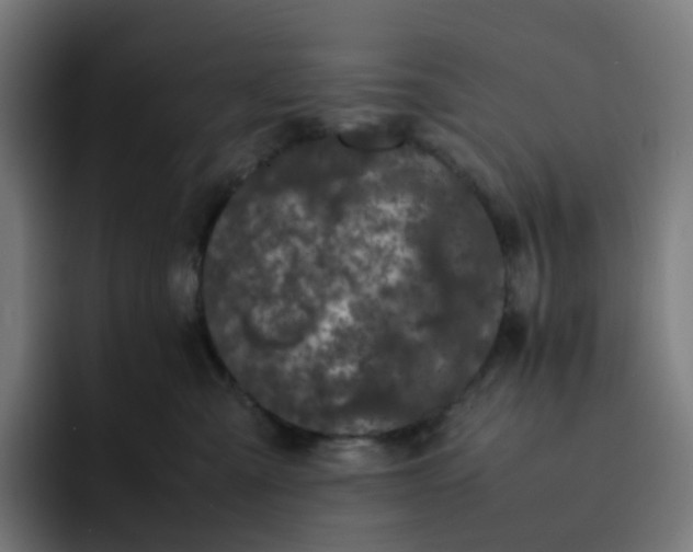 X0000093160427200710101157