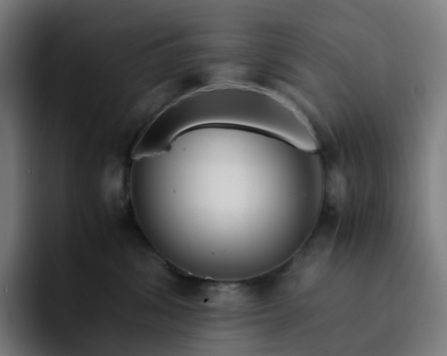 X0000093160428200710101157