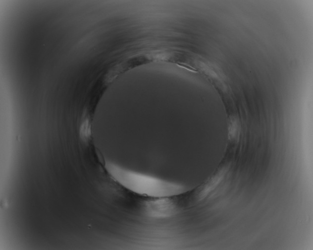 X0000093160431200710101157