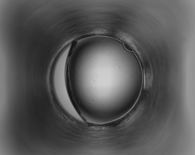X0000093160435200710101157