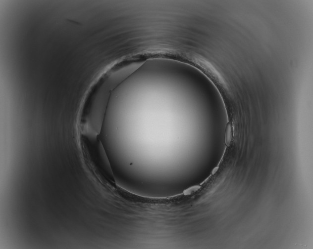 X0000093160436200710101157