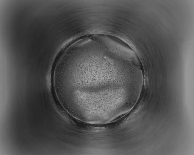 X0000093160438200710101157