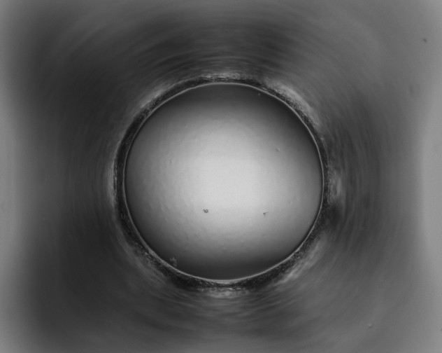 X0000093160439200710101157