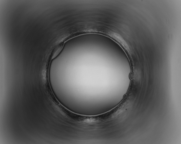 X0000093160441200710101157