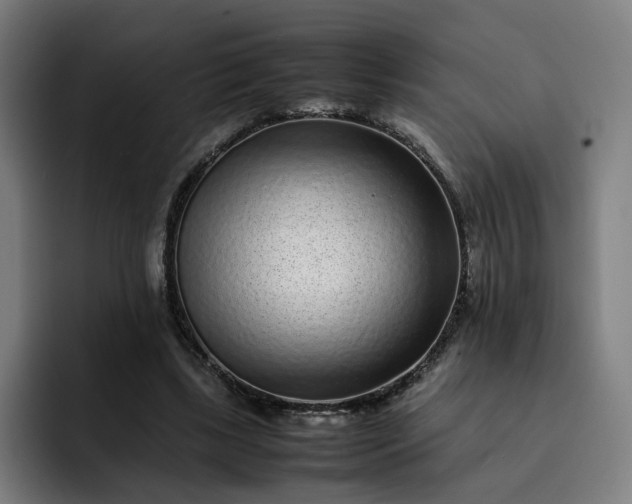 X0000093160443200710101157