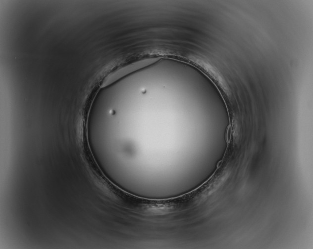 X0000093160445200710101157