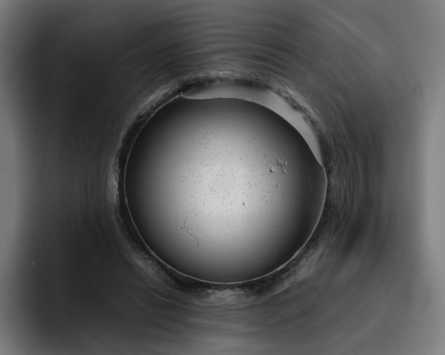 X0000093160446200710101157