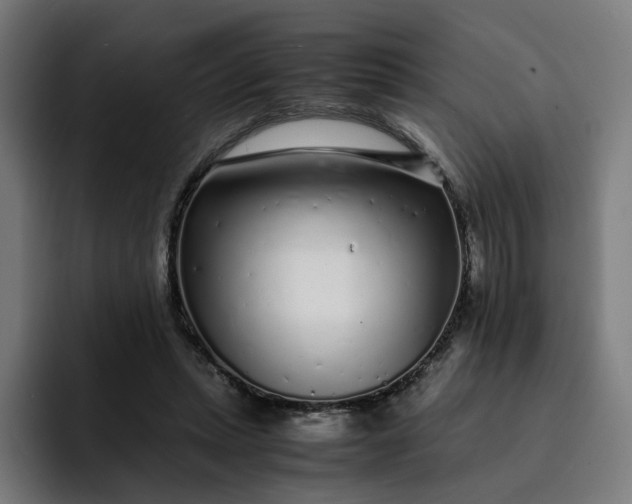 X0000093160447200710101157