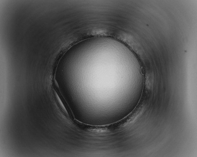X0000093160449200710101157