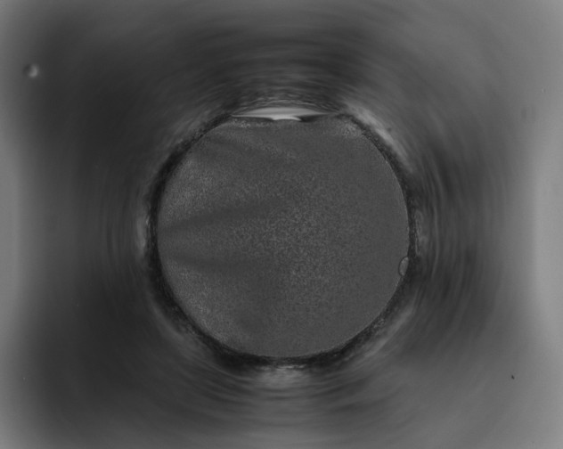 X0000093160451200710101157
