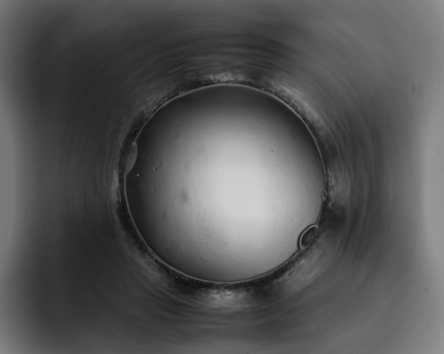 X0000093160453200710101157