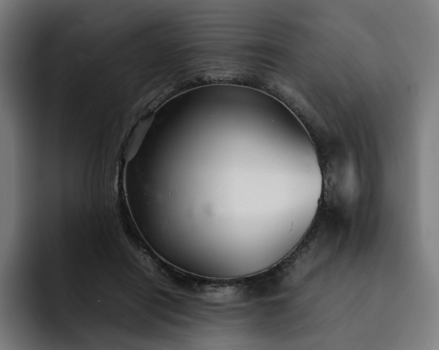X0000093160454200710101157