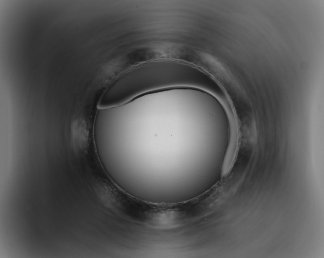 X0000093160456200710101157