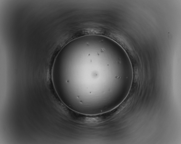 X0000093160457200710101157