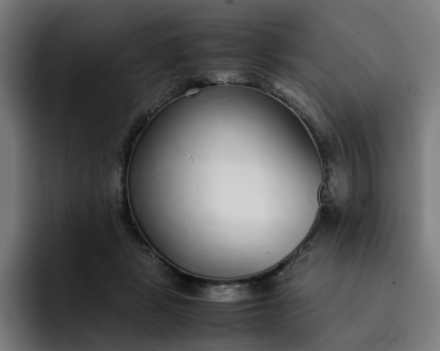 X0000093160461200710101157