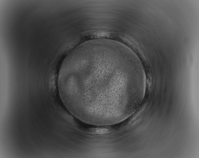X0000093160462200710101157