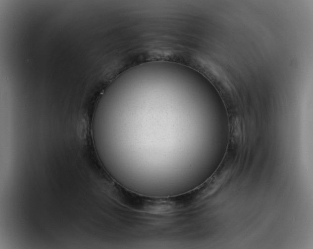 X0000093160463200710101157