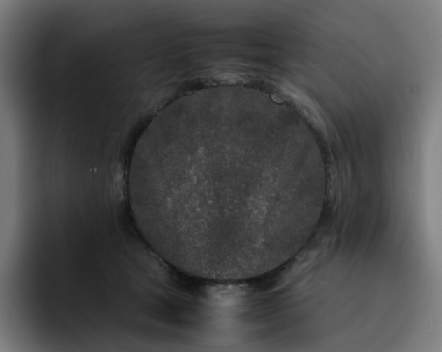 X0000093160465200710101157