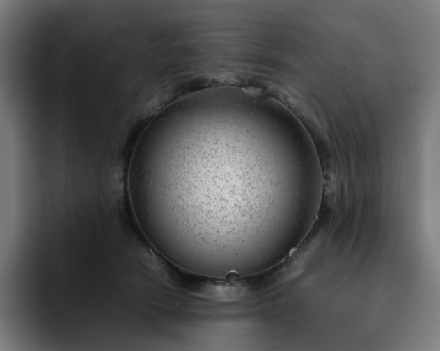 X0000093160466200710101157