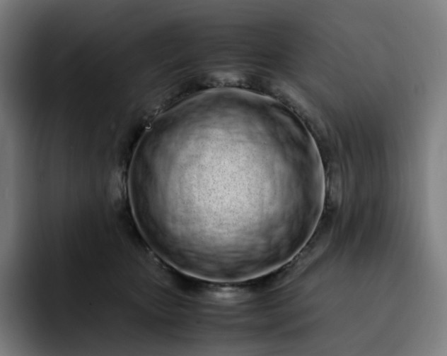 X0000093160467200710101157