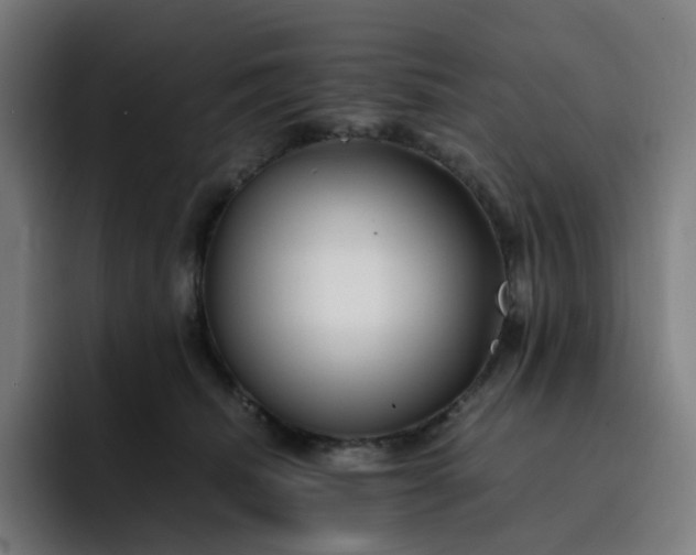 X0000093160468200710101157
