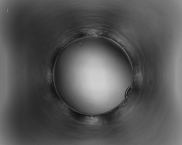 X0000093160469200710101157