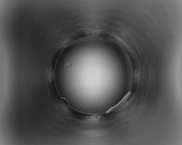 X0000093160474200710101157