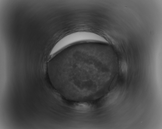 X0000093160475200710101157