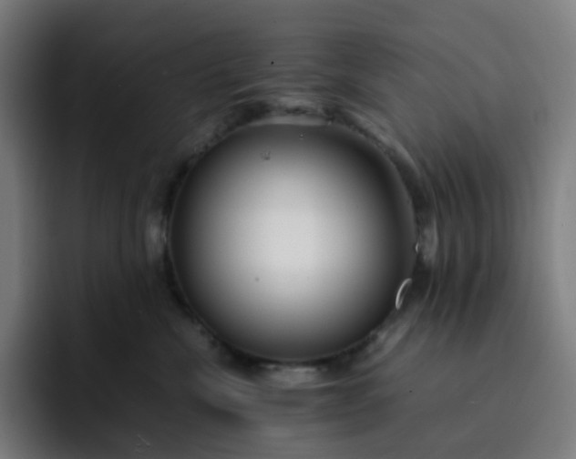 X0000093160476200710101157