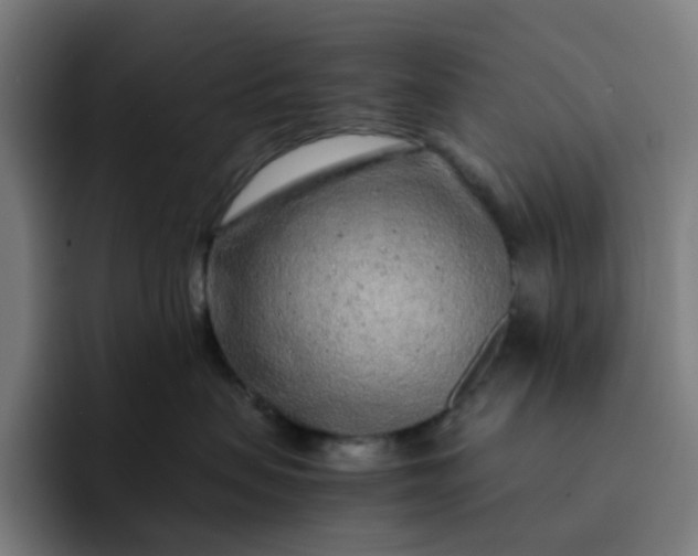 X0000093160479200710101157