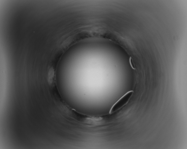 X0000093160480200710101157