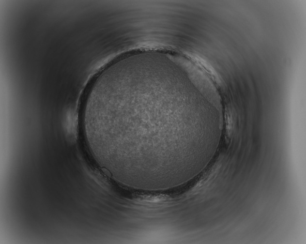 X0000093160488200710101157