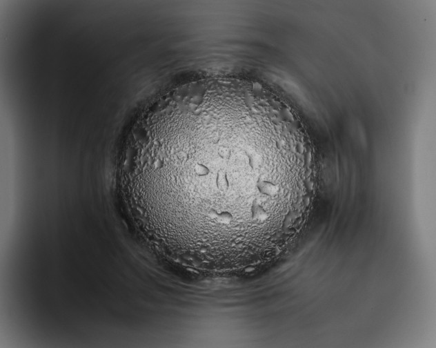 X0000093160499200710101156