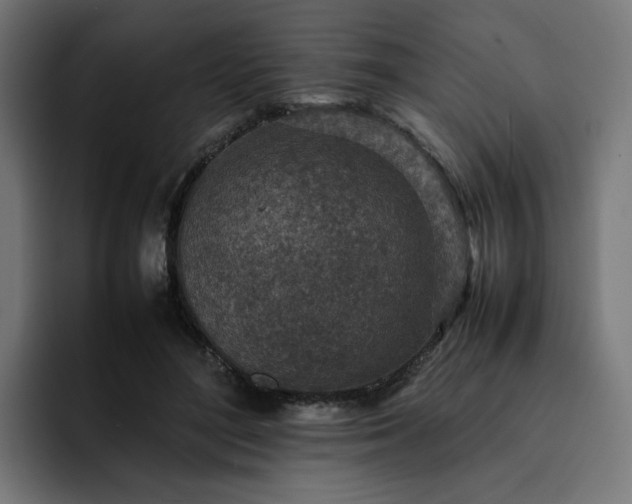 X0000093160500200710101156