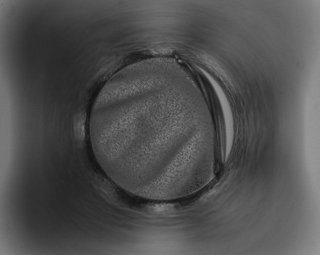 X0000093160501200710101156