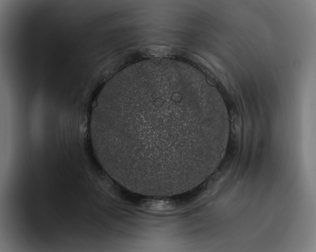X0000093160507200710101156