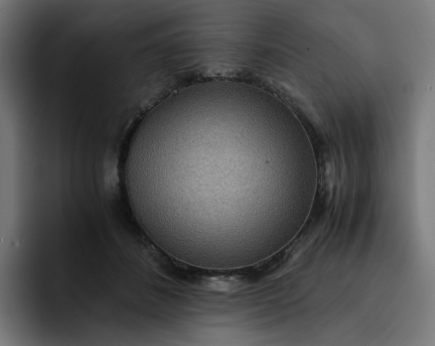 X0000093160508200710101156