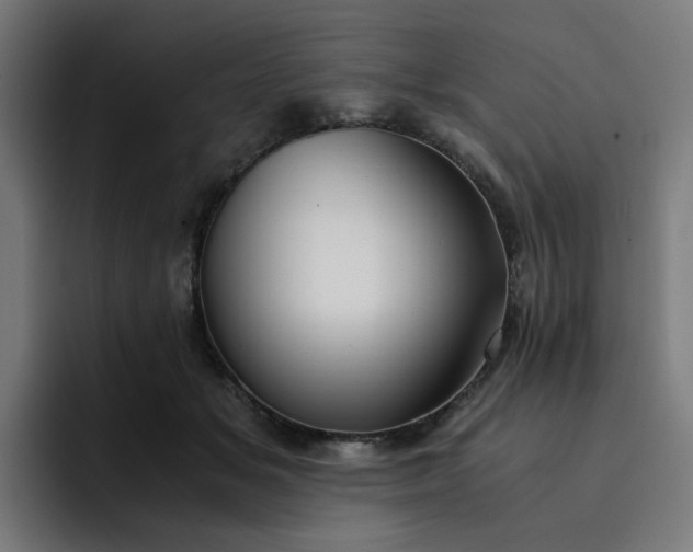 X0000093160509200710101156