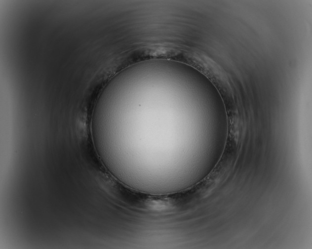 X0000093160510200710101156