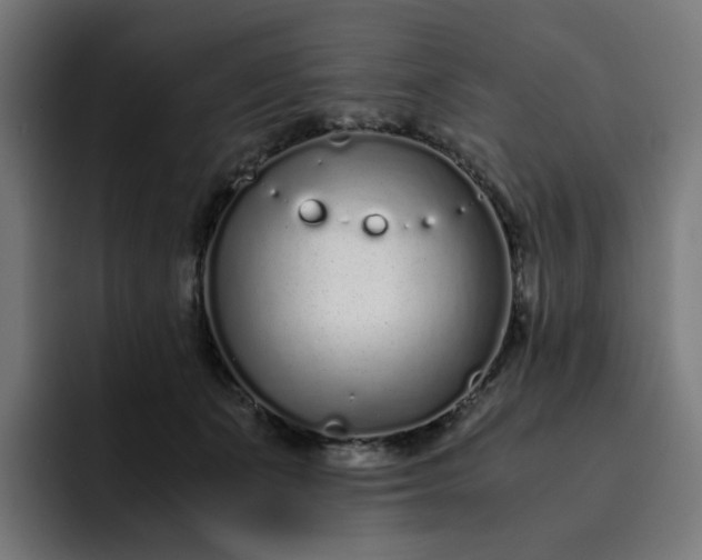 X0000093160511200710101156
