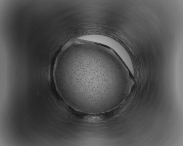 X0000093160512200710101156