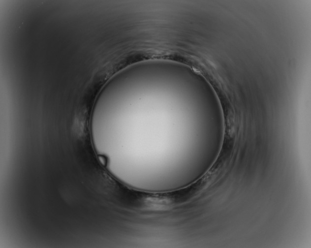 X0000093160515200710101156