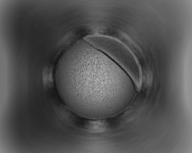 X0000093160516200710101156