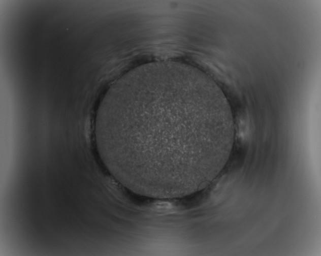 X0000093160519200710101156