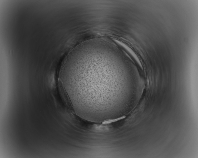 X0000093160520200710101156