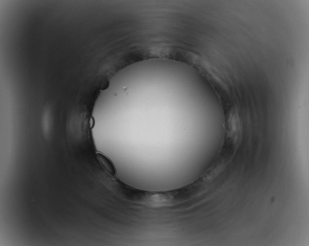 X0000093160522200710101156