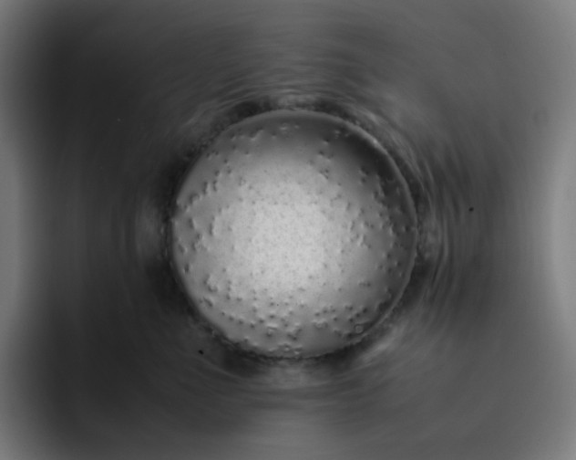 X0000093160523200710101156