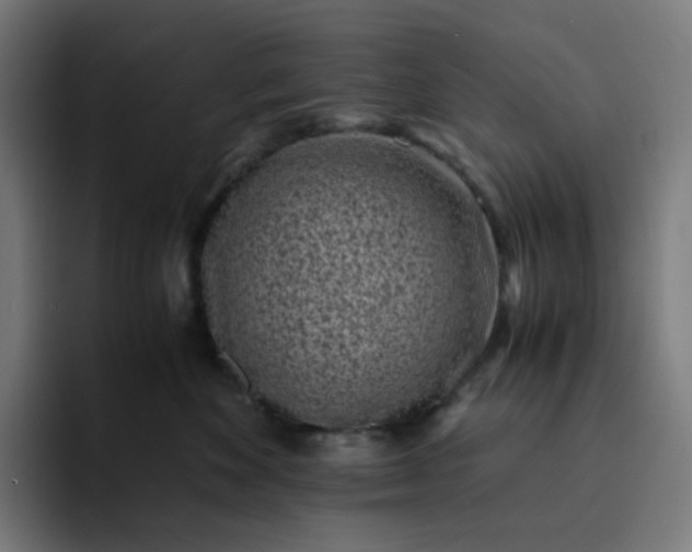 X0000093160524200710101156