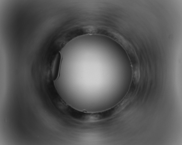X0000093160525200710101156
