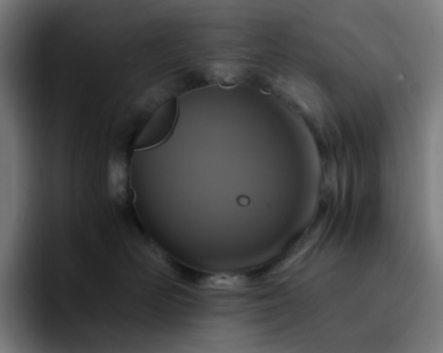X0000093160526200710101156